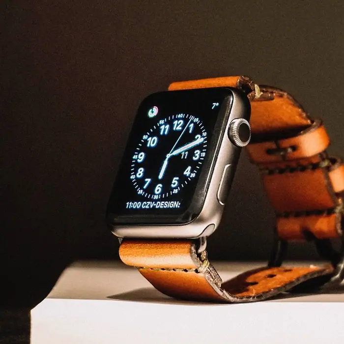 Smartwatch straps Gore
